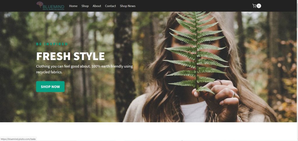 demo-template-shop2