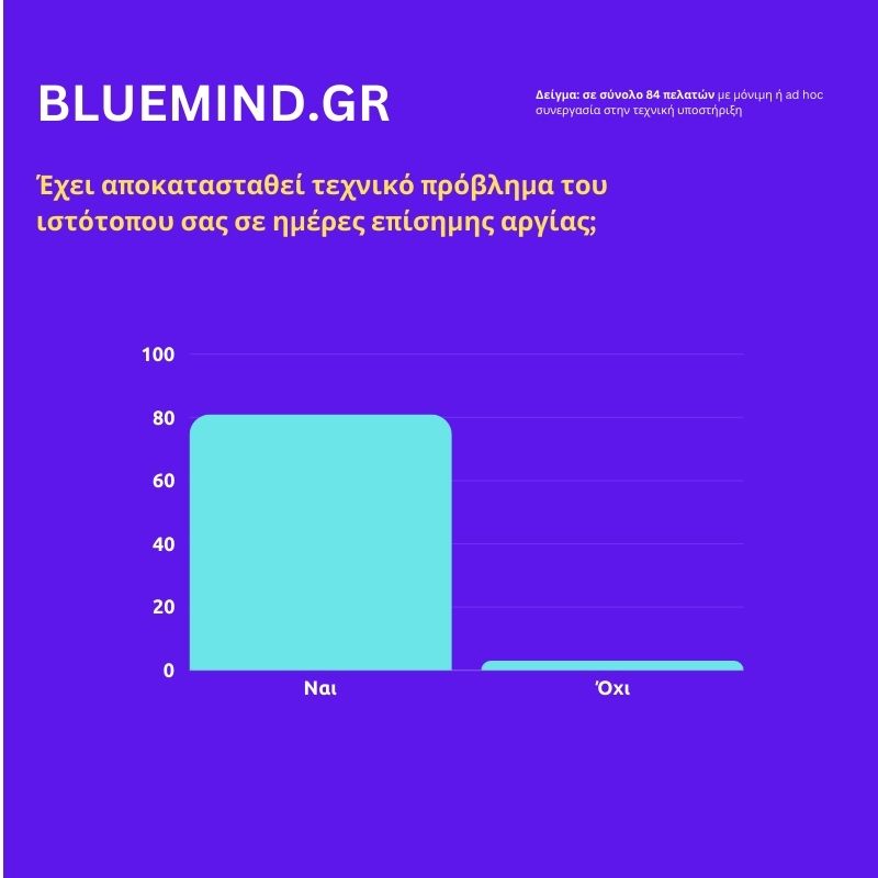 Άμεση τεχνική υποστήριξη wordpress 3 επιλυση τεχνικου προβληματος wordpress σε επισημες αργιες bluemind