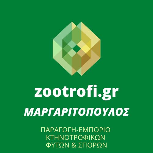 Κατασκευή Ιστοσελίδων για άμεσα αποτελέσματα 10 κατασκευη ιστοσελιδας